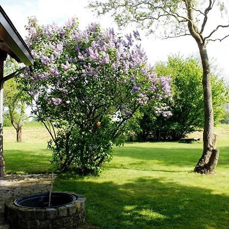 Fewos In Klein-Grindau Schwarmstedt Dış mekan fotoğraf